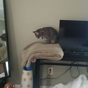 Meet your Posher, Jane